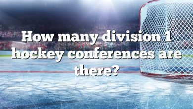 How many division 1 hockey conferences are there?