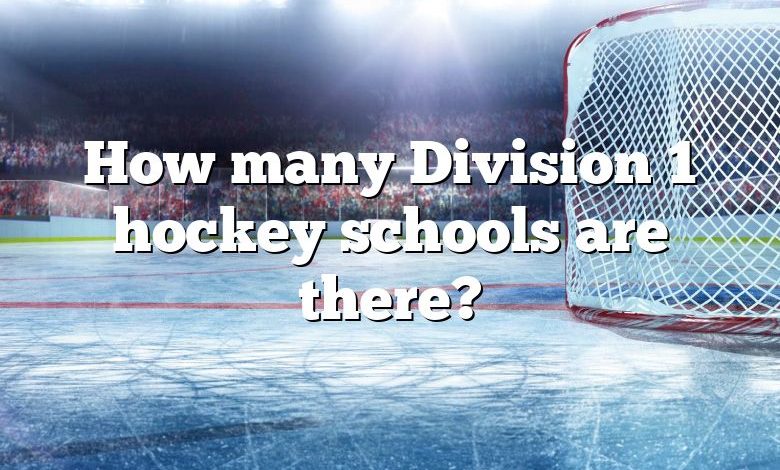 How many Division 1 hockey schools are there?