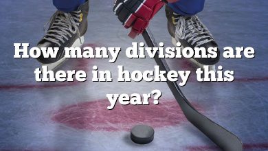 How many divisions are there in hockey this year?