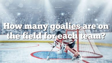 How many goalies are on the field for each team?