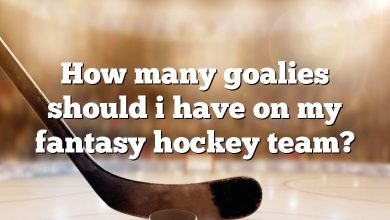 How many goalies should i have on my fantasy hockey team?