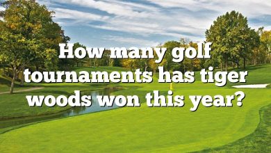How many golf tournaments has tiger woods won this year?