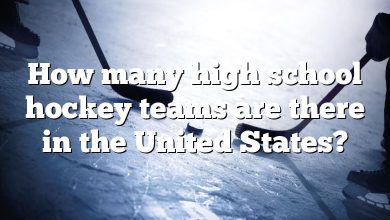 How many high school hockey teams are there in the United States?