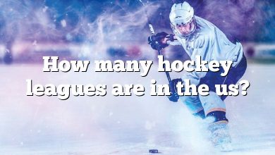 How many hockey leagues are in the us?