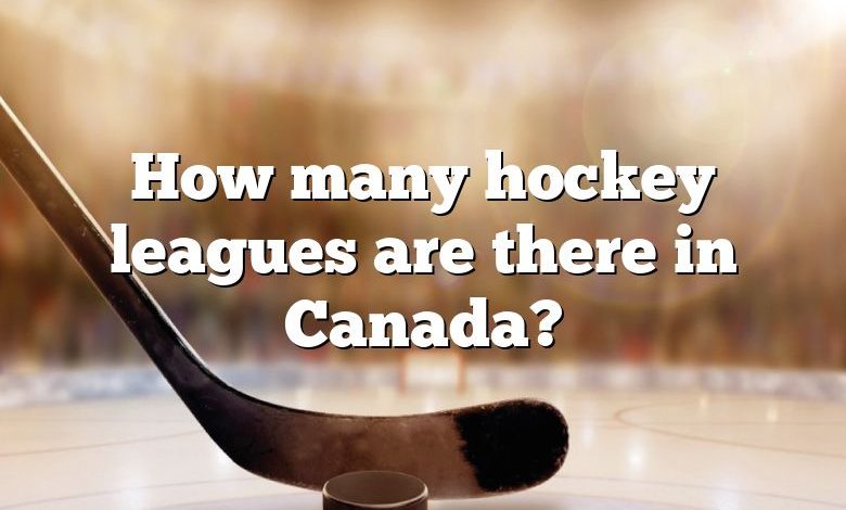How many hockey leagues are there in Canada?