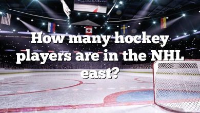 How many hockey players are in the NHL east?