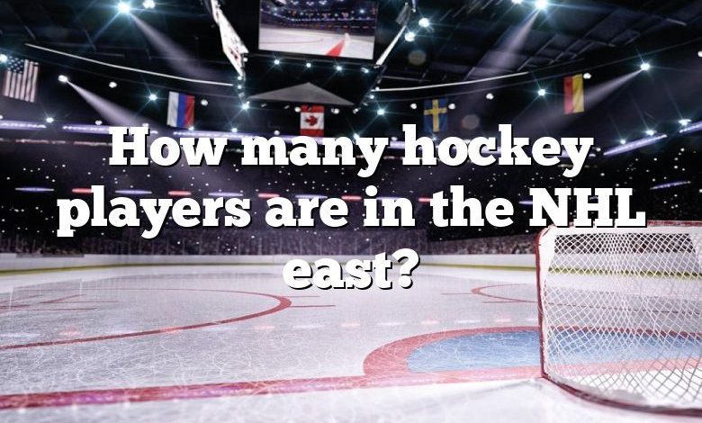 How many hockey players are in the NHL east?