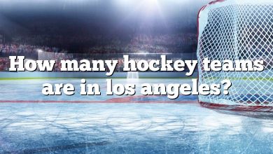 How many hockey teams are in los angeles?