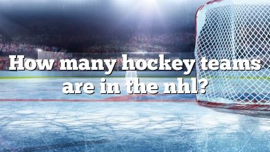 How many hockey teams are in the nhl?