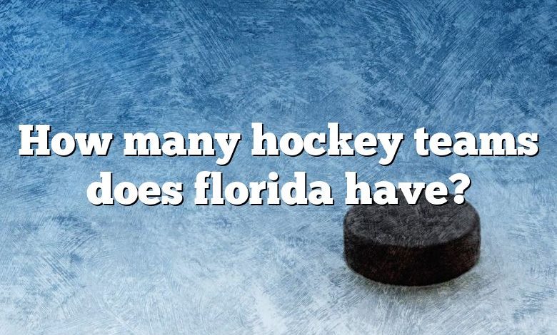 How many hockey teams does florida have?