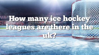 How many ice hockey leagues are there in the uk?
