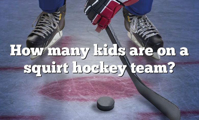 How many kids are on a squirt hockey team?