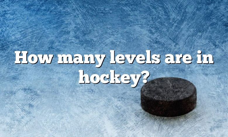 How many levels are in hockey?