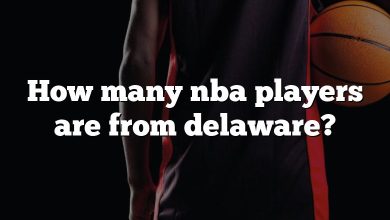 How many nba players are from delaware?