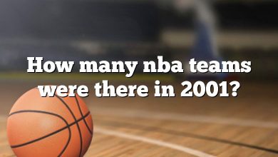 How many nba teams were there in 2001?