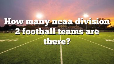 How many ncaa division 2 football teams are there?