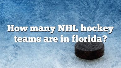 How many NHL hockey teams are in florida?