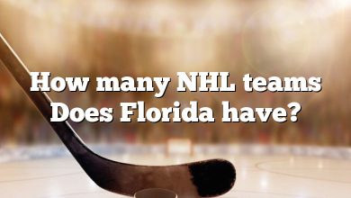 How many NHL teams Does Florida have?