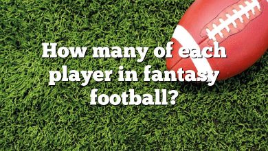 How many of each player in fantasy football?