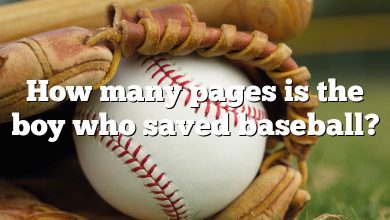 How many pages is the boy who saved baseball?