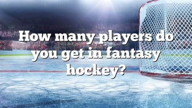 How many players do you get in fantasy hockey?