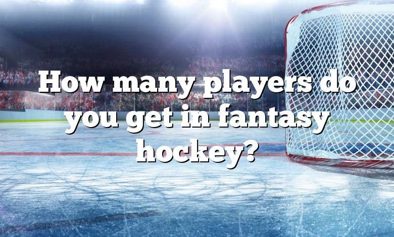 How many players do you get in fantasy hockey?