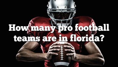 How many pro football teams are in florida?