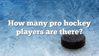 How many pro hockey players are there?
