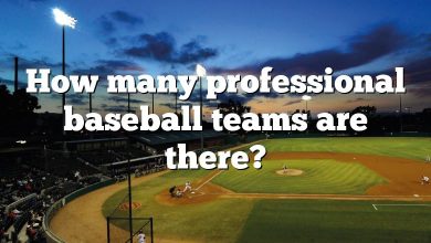 How many professional baseball teams are there?