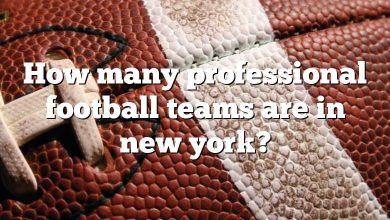 How many professional football teams are in new york?