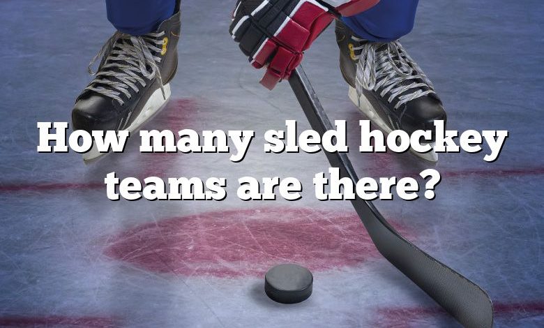 How many sled hockey teams are there?