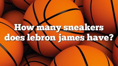 How many sneakers does lebron james have?