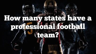 How many states have a professional football team?