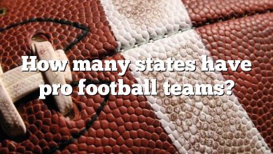 How many states have pro football teams?