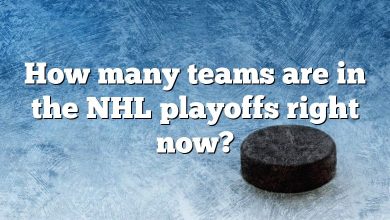 How many teams are in the NHL playoffs right now?