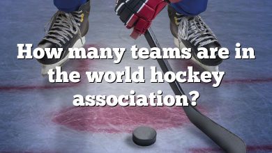 How many teams are in the world hockey association?