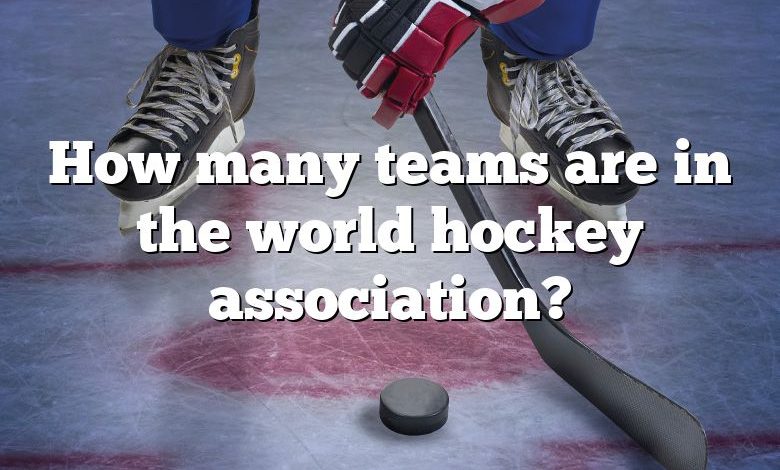 How many teams are in the world hockey association?