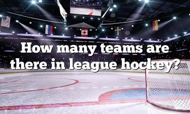 How many teams are there in league hockey?