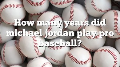 How many years did michael jordan play pro baseball?