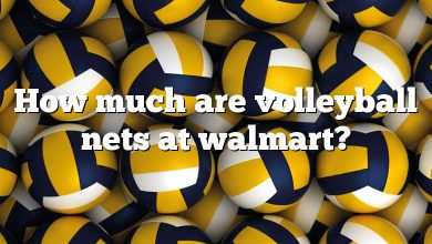 How much are volleyball nets at walmart?