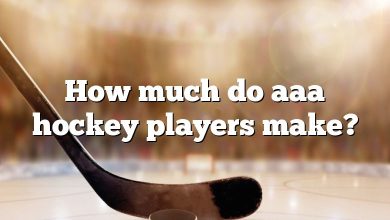 How much do aaa hockey players make?