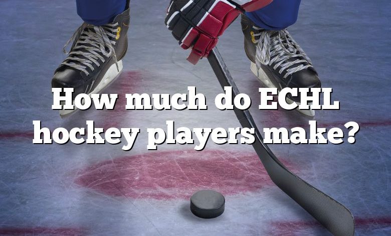 How much do ECHL hockey players make?