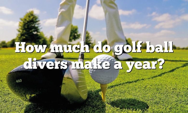 How much do golf ball divers make a year?