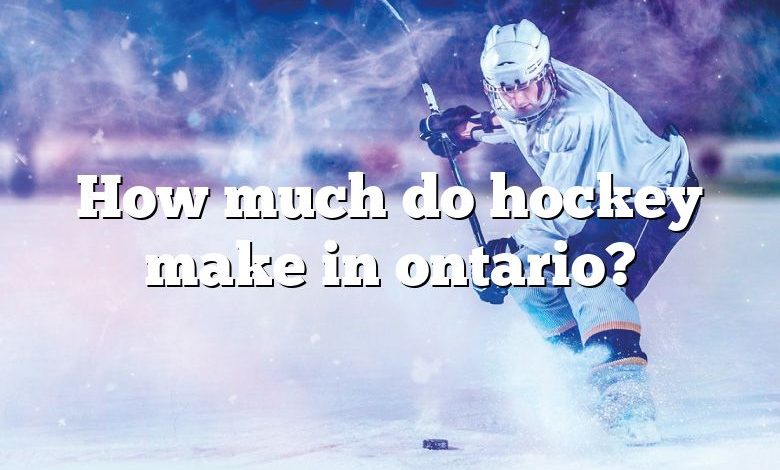 How much do hockey make in ontario?