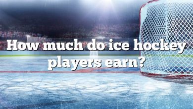 How much do ice hockey players earn?