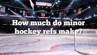 How much do minor hockey refs make?