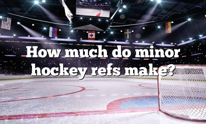 How much do minor hockey refs make?