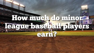 How much do minor league baseball players earn?