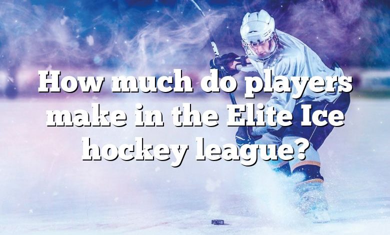 How much do players make in the Elite Ice hockey league?