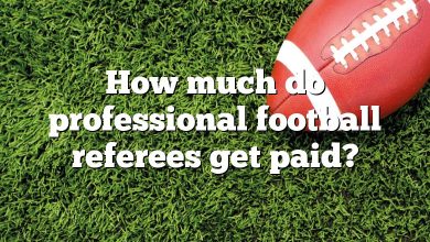 How much do professional football referees get paid?